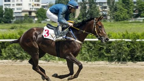 tricast calculator|Best Tricast Calculator for US Horse Racing 2024.